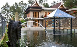 cottage dream, kotagiri, ooty