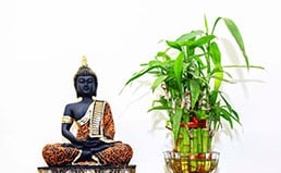 cottage dream, kotagiri, ooty