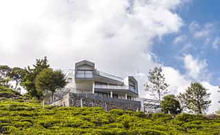 hills and hearts, coonoor